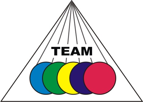 Team-Chen Colors 2007 ltd logo